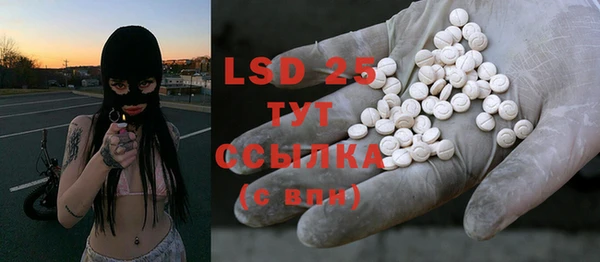 индика Ладушкин