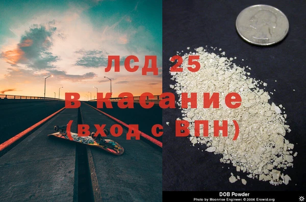 индика Ладушкин