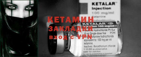 индика Ладушкин