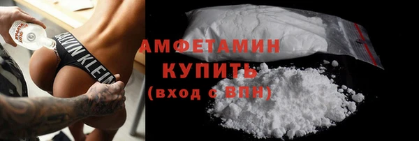 индика Ладушкин