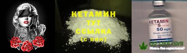 индика Ладушкин