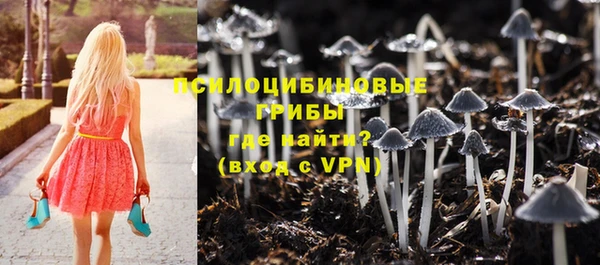 дмт Лагань