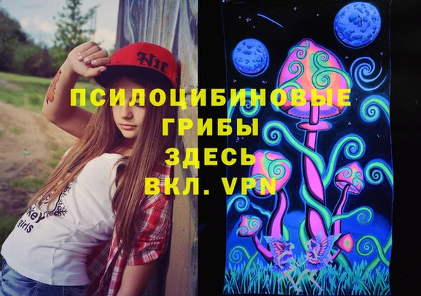 индика Ладушкин