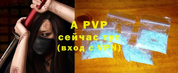 индика Ладушкин