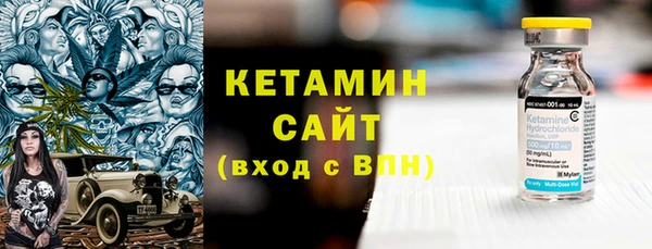 индика Ладушкин