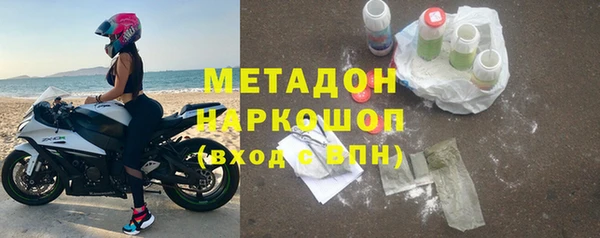 индика Ладушкин