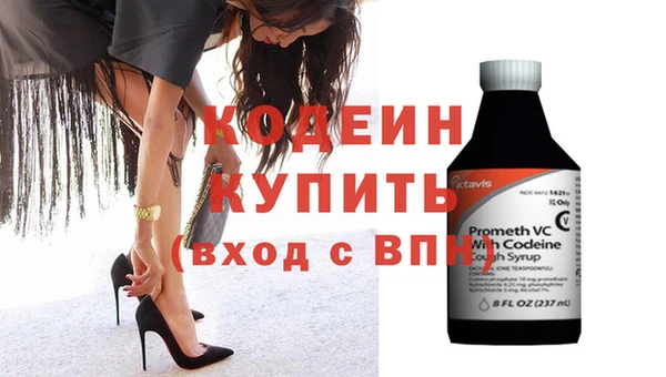 индика Ладушкин