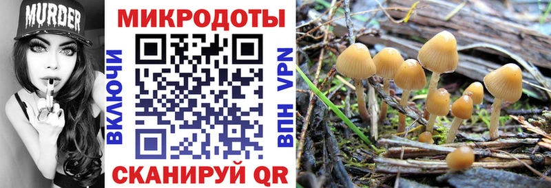 Галлюциногенные грибы Psilocybe  Егорьевск 