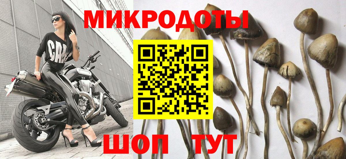 Галлюциногенные грибы GOLDEN TEACHER  Егорьевск 