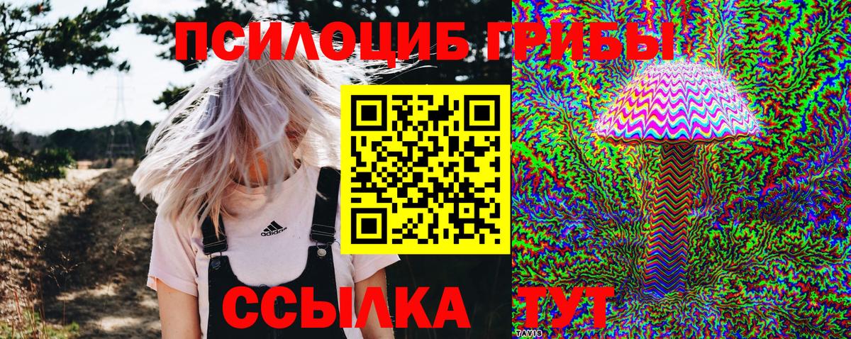Cocaine  ТГК  Егорьевск  NBOMe  Меф кристаллы  Гашиш  Вход с VPN  Марихуана 