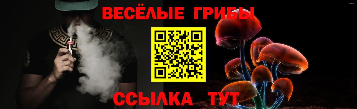 купить наркоту  Вход с VPN  Егорьевск  Псилоцибиновые грибы мицелий 